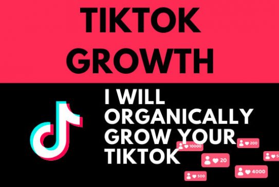 10 Impressive Strategies To Organically Grow Your TikTok Account